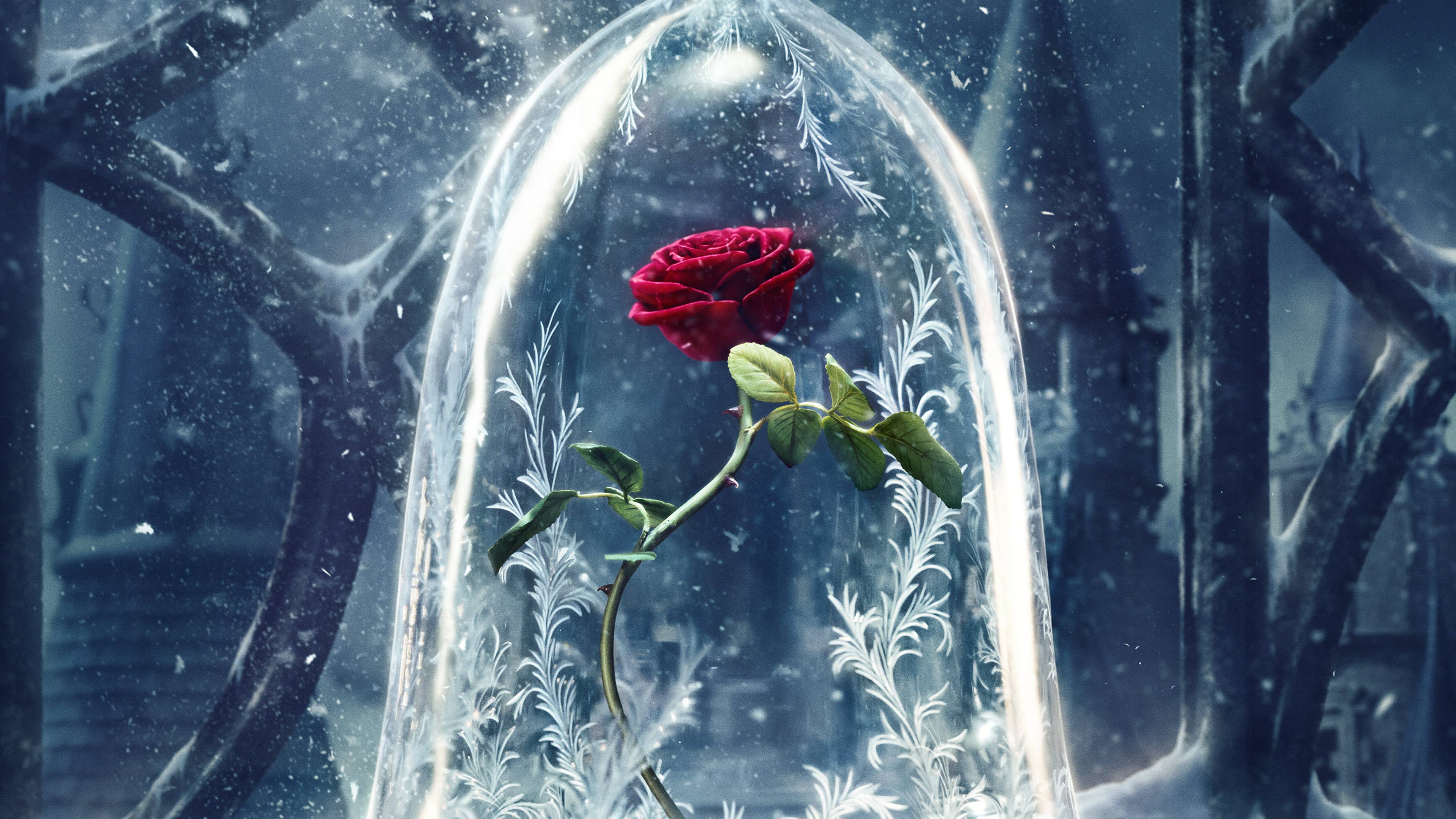 Красавица и чудовище Эмма Уотсон роза без смс